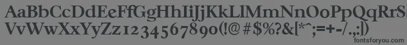 フォントCasablancaserialBold – 黒い文字の灰色の背景