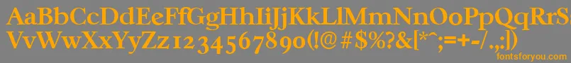 CasablancaserialBold Font – Orange Fonts on Gray Background