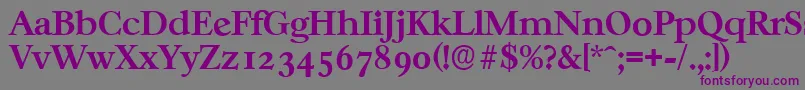 フォントCasablancaserialBold – 紫色のフォント、灰色の背景