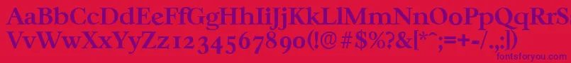 CasablancaserialBold Font – Purple Fonts on Red Background