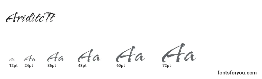 AriditcTt Font Sizes