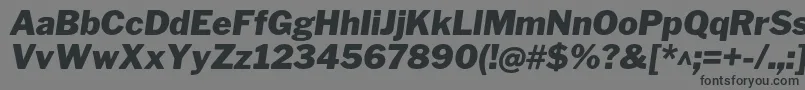 Czcionka LibrefranklinBlackitalic – czarne czcionki na szarym tle