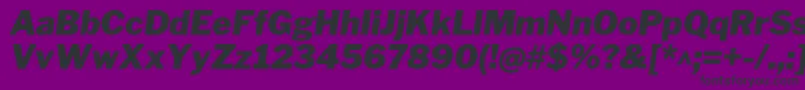 LibrefranklinBlackitalic Font – Black Fonts on Purple Background