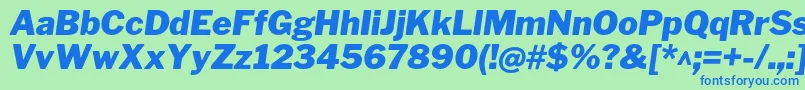 LibrefranklinBlackitalic Font – Blue Fonts on Green Background