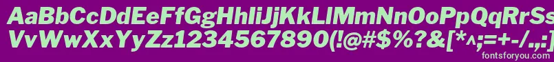 LibrefranklinBlackitalic Font – Green Fonts on Purple Background