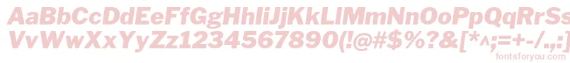 LibrefranklinBlackitalic Font – Pink Fonts on White Background