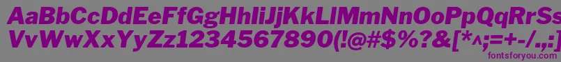 LibrefranklinBlackitalic-Schriftart – Violette Schriften auf grauem Hintergrund
