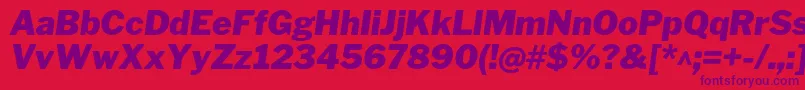 Шрифт LibrefranklinBlackitalic – фиолетовые шрифты на красном фоне