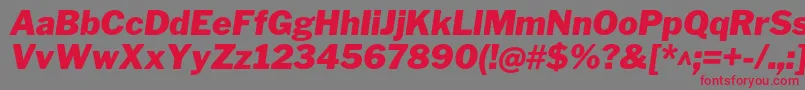 LibrefranklinBlackitalic Font – Red Fonts on Gray Background