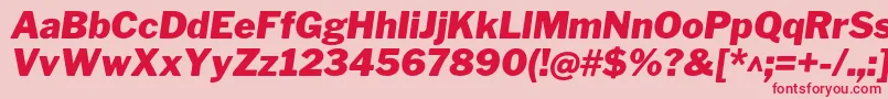 Czcionka LibrefranklinBlackitalic – czerwone czcionki na różowym tle