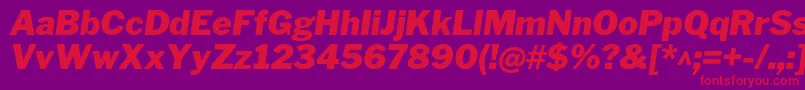 LibrefranklinBlackitalic Font – Red Fonts on Purple Background