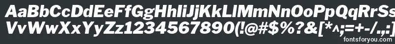 LibrefranklinBlackitalic-fontti – valkoiset fontit