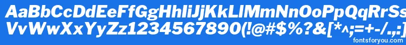 Шрифт LibrefranklinBlackitalic – белые шрифты на синем фоне