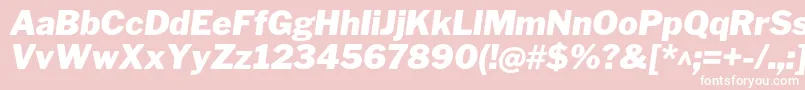 LibrefranklinBlackitalic Font – White Fonts on Pink Background