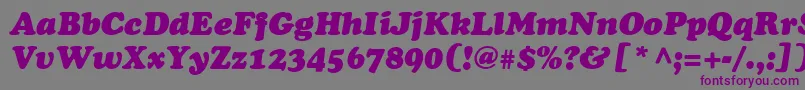 AgcoopercyrItalic Font – Purple Fonts on Gray Background