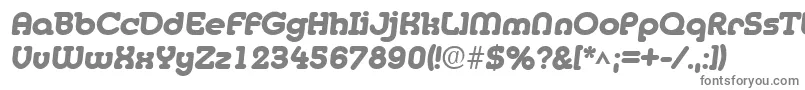 フォントMedflyheavyRegular – 白い背景に灰色の文字