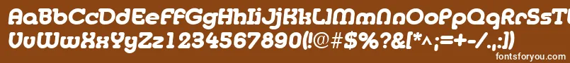 フォントMedflyheavyRegular – 茶色の背景に白い文字
