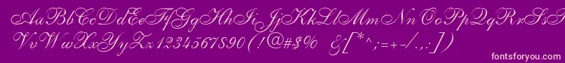 Shellyallegroc Font – Pink Fonts on Purple Background