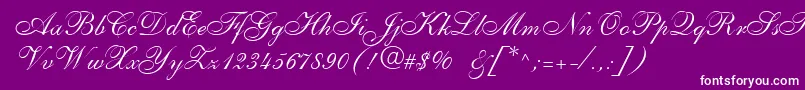 Shellyallegroc Font – White Fonts on Purple Background