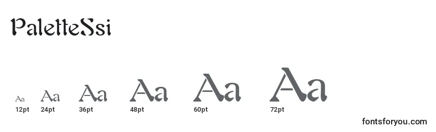 Размеры шрифта PaletteSsi