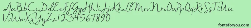 More about Nellasuedemo Font Nellasuedemo Font – Black Fonts on Green Background