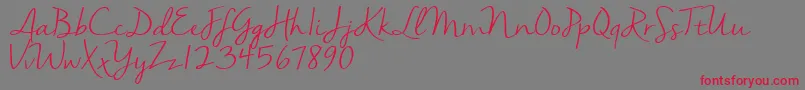 Nellasuedemo Font – Red Fonts on Gray Background