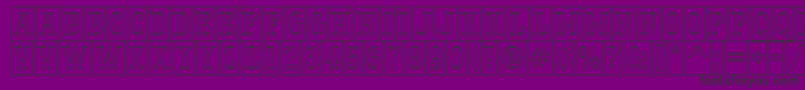 PresentumnrcmotlRegularフォントについての詳細 フォントPresentumnrcmotlRegular – 紫の背景に黒い文字