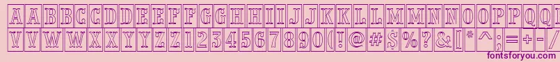 PresentumnrcmotlRegular Font – Purple Fonts on Pink Background