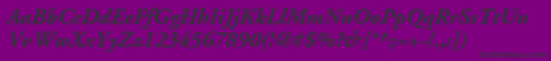 AdobeGaramondLtBoldItalic Font – Black Fonts on Purple Background
