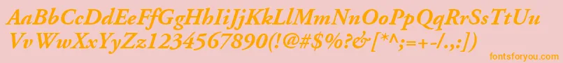 AdobeGaramondLtBoldItalic Font – Orange Fonts on Pink Background