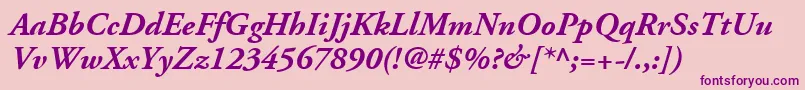 AdobeGaramondLtBoldItalic Font – Purple Fonts on Pink Background
