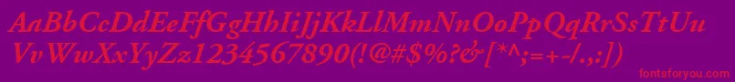 AdobeGaramondLtBoldItalic Font – Red Fonts on Purple Background