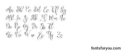 Обзор шрифта Esztydemo