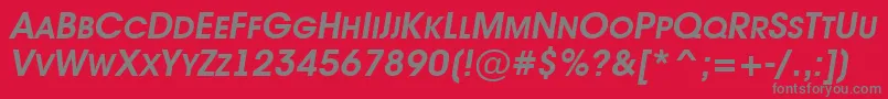 AAvantetitlercpsupcBolditalic Font – Gray Fonts on Red Background