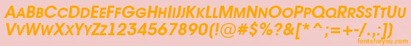 AAvantetitlercpsupcBolditalic Font – Orange Fonts on Pink Background