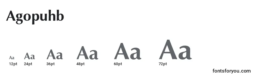 Размеры шрифта Agopuhb