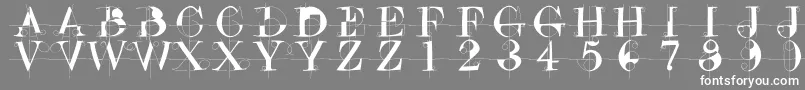 フォントDrunkenconstructor – 灰色の背景に白い文字