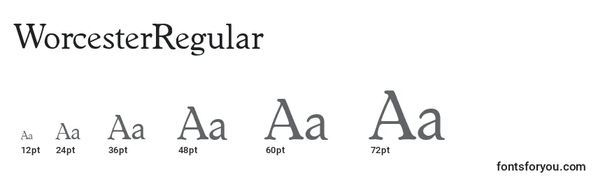 WorcesterRegular Font Sizes