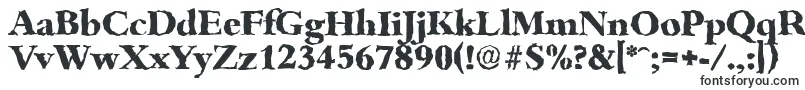 BambergrandomXboldRegular Font – Fonts for Adobe Muse