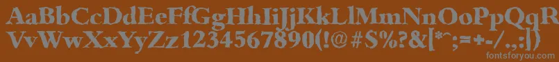 BambergrandomXboldRegular-fontti – harmaat kirjasimet ruskealla taustalla