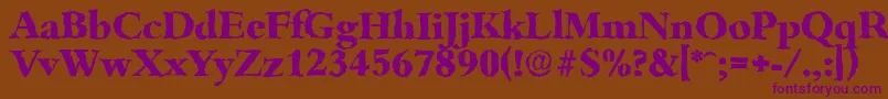 BambergrandomXboldRegular Font – Purple Fonts on Brown Background