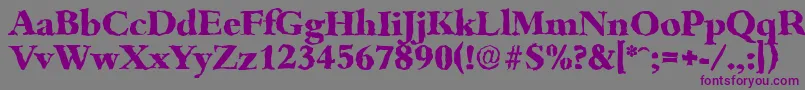 BambergrandomXboldRegular Font – Purple Fonts on Gray Background