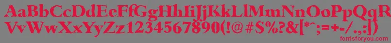 BambergrandomXboldRegular Font – Red Fonts on Gray Background