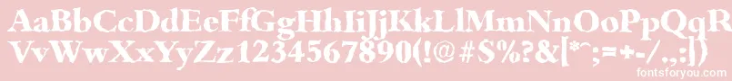 BambergrandomXboldRegular-Schriftart – Weiße Schriften auf rosa Hintergrund