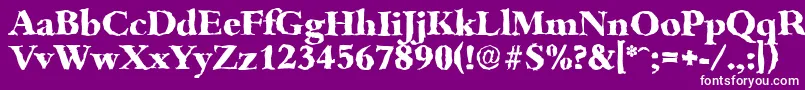 フォントBambergrandomXboldRegular – 紫の背景に白い文字