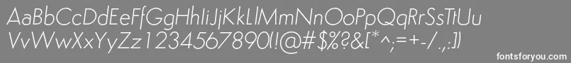 SemplicitaLightItalic-Schriftart – Weiße Schriften auf grauem Hintergrund