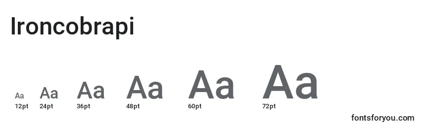 Ironcobrapi Font Sizes