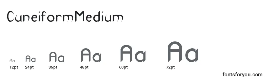 Размеры шрифта CuneiformMedium