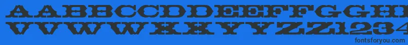 Шрифт Thunderbay – чёрные шрифты на синем фоне