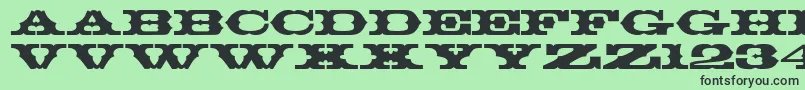 フォントThunderbay – 緑の背景に黒い文字